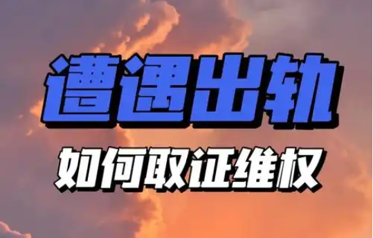 嘉兴市小三私人调查：小三如何定罪判刑